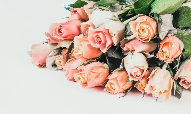 bundle of pink roses