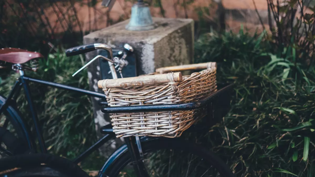 Bike with basket